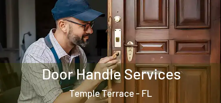 Door Handle Services Temple Terrace - FL