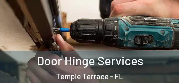 Door Hinge Services Temple Terrace - FL