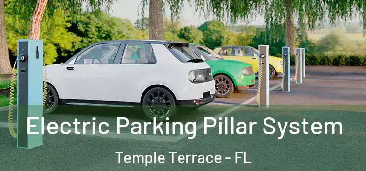 Electric Parking Pillar System Temple Terrace - FL