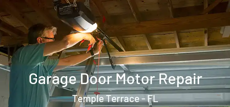  Garage Door Motor Repair Temple Terrace - FL