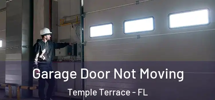  Garage Door Not Moving Temple Terrace - FL