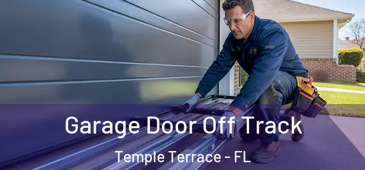  Garage Door Off Track Temple Terrace - FL