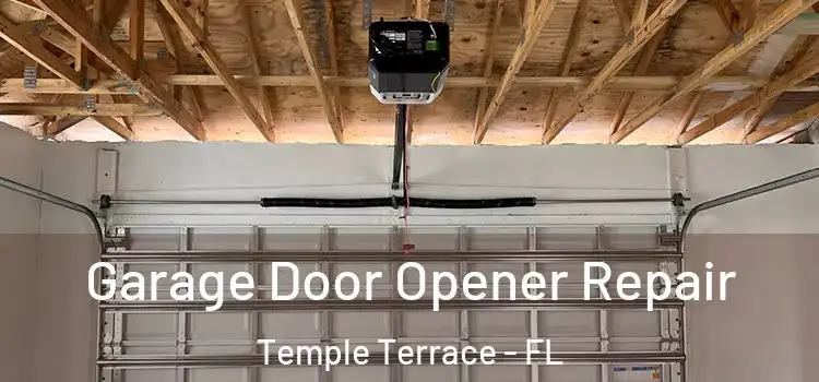  Garage Door Opener Repair Temple Terrace - FL