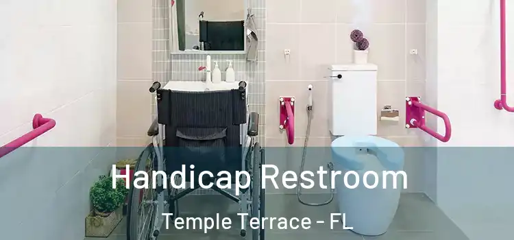  Handicap Restroom Temple Terrace - FL