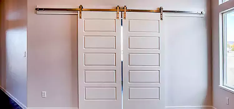 Glass Barn Door with Installation Hardware Kit Temple Terrace