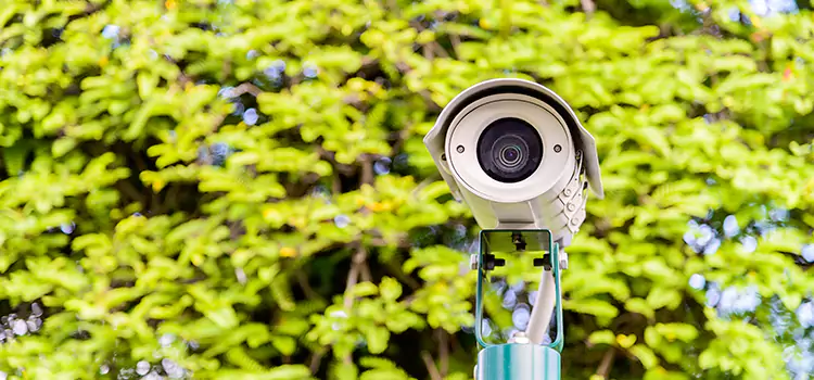 Advanced Surveillance Solutions for Every Need in Temple Terrace