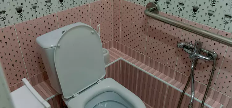 Meeting Diverse Needs With Accessible Restroom Solutions in Temple Terrace, FL