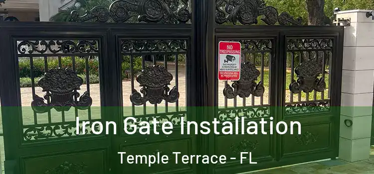 Iron Gate Installation Temple Terrace - FL