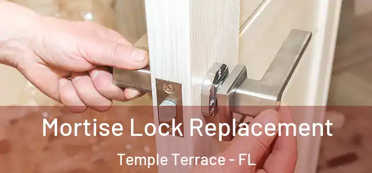  Mortise Lock Replacement Temple Terrace - FL