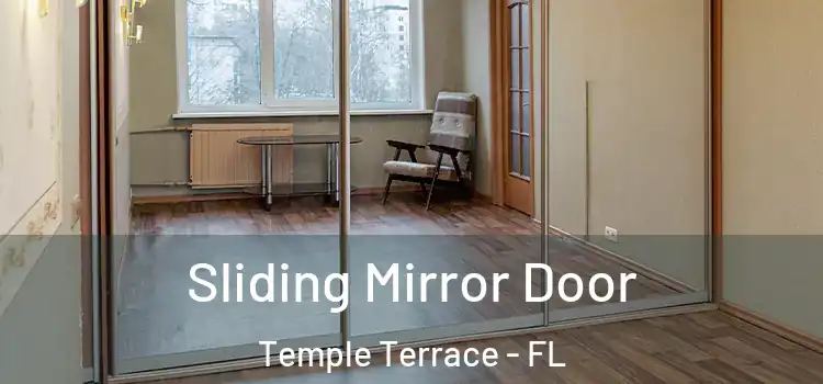  Sliding Mirror Door Temple Terrace - FL